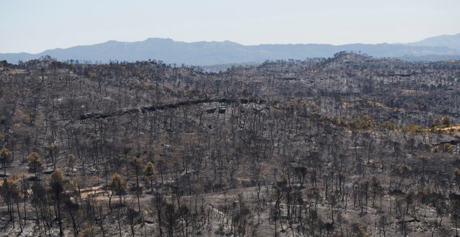 Vista del terreno calcinado este sábado tras el paso del incendio forestal de Tarragona que ha afectado a la comarca de la Ribera d'Ebre desde el miércoles.  / EFE