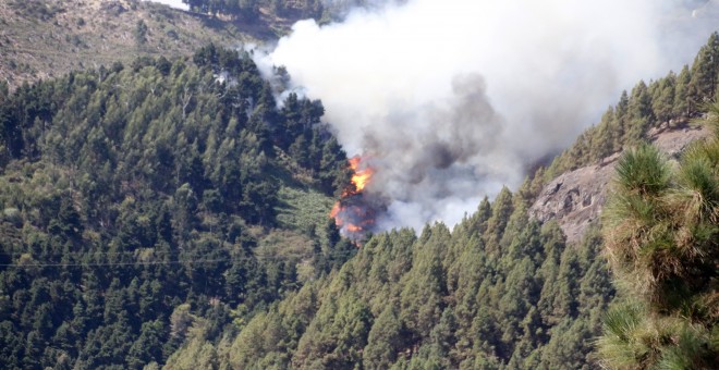 Imagen del incendio de Gran Canaria, que ya ha obligado a evacuar a 8.000 habitantes. / EUROPA PRESS