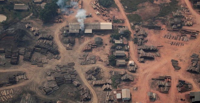 Una explotación maderera en plena selva amazónica de Brasil.- REUTERS