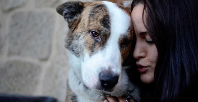 Una niña juega con su perro.- EFE