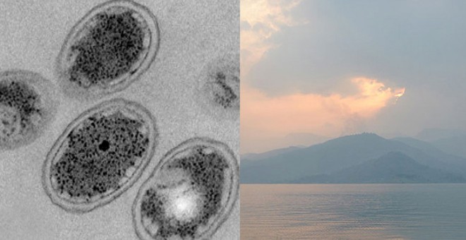 Imágenes de microscopia de la bacteria Chlorobium ferrooxidans utilizada en el estudio y su lugar de procedencia: la bahía de Kabuno, al noreste del lago Kivu en la República Democrática del Congo. / UAB