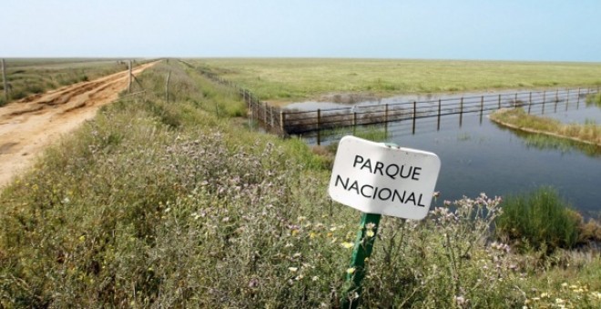 Foto de archivo del Parque Nacional de Doñana. EFE/Eduardo Abad