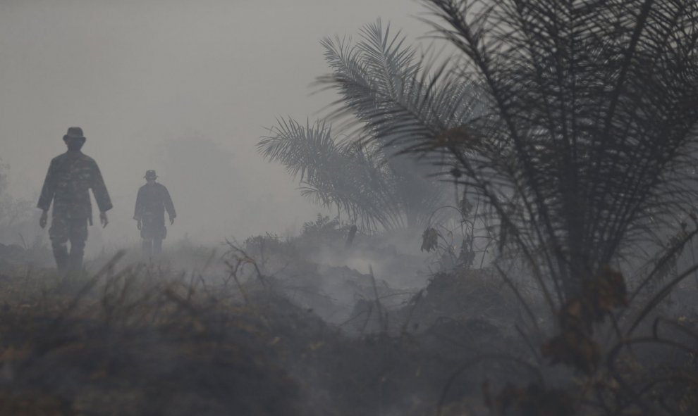 Soldados indonesios y policías cominan tras un descanso después de rociar agua sobre palmeras quemadas en la plantación de aceite de palma en la aldea de Jebus. REUTERS