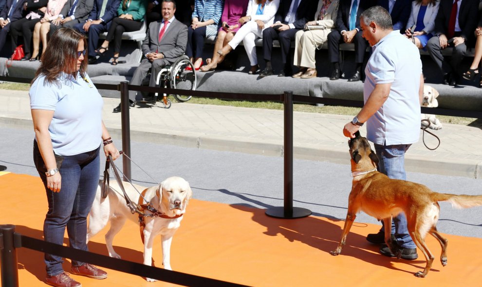 Dos instructores de la Fundación ONCE del Perro Guía realizan una demostración como parte de los actos del 25 aniversario de la organización, en un acto en el que han estado presentes, entre otras personalidades, la reina Sofía , el presidente de la ONCE,