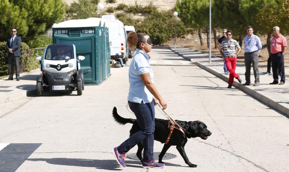 Una instructora de la Fundación ONCE del Perro Guía realiza una demostración como parte de los actos del 25 aniversario de la organización. ONCE