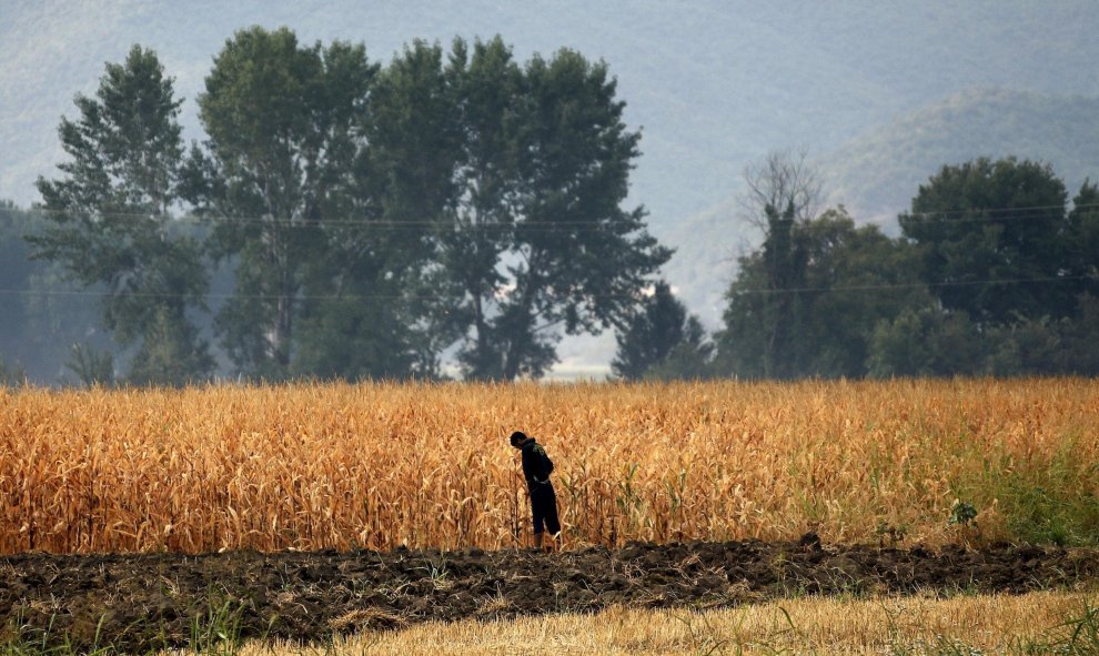 Un migrante utiliza un campo como un inodoro en la frontera greco-macedonia cerca de la aldea griega de Idomeni (Grecia). REUTERS / Yannis Behrakis