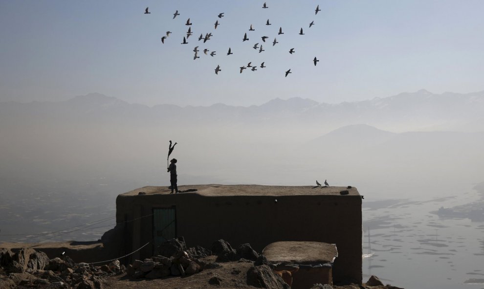 Un niño afgano guía con un palo a una manada de palomas domésticas desde la parte superior de su casa. Kabul, Afganistán. REUTERS/Ahmad Masood