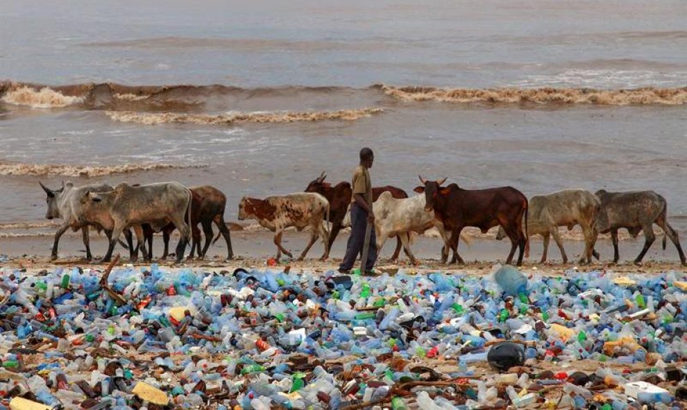 Un hombre pasea con su ganado en la playa contaminada Korle Gono, que está cubierta por botellas de plástico y otros objetos que han llegado a la playa después de las fuertes riadas en Acra, Ghana.EFE/Christian Thompson