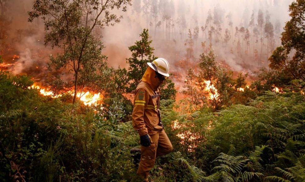 Un bombero lucha contra el fuego cerca del pueblo de Fato, en el centro de Portugal. | RAFAEL MARCHANTE (REUTERS)