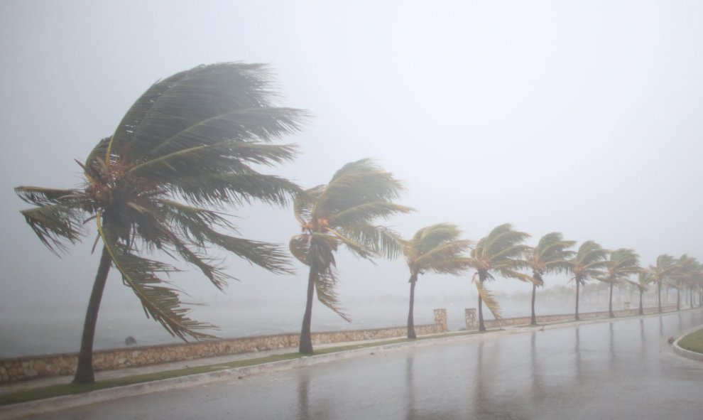 El viento agita las palmeras de Caibarien antes de la llegada del huracán Irma a Cuba. / REUTERS