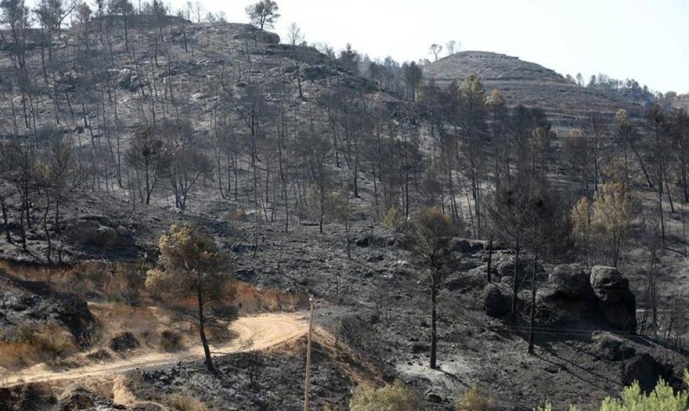 El incendio forestal que quema desde la tarde de ayer en varios términos municipales de la comarca tarraconense de Ribera d'Ebre sigue descontrolado y afecta ya a más de 4.000 hectáreas. EFE/ Jaume Sellart