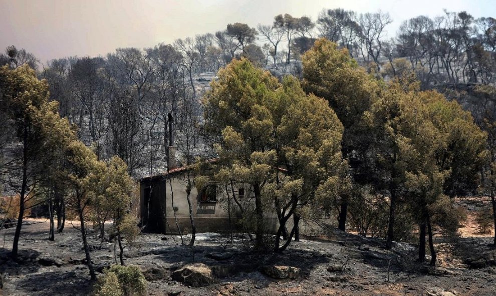 27/06/2019 - La Generalitat ha pedido a la ciudadanía que evite situaciones de riesgo que puedan generar otro incendio forestal, lo que obligaría a dividir el dispositivo de extinción establecido en la Ribera d'Ebre. / EFE - Jaume Sellart