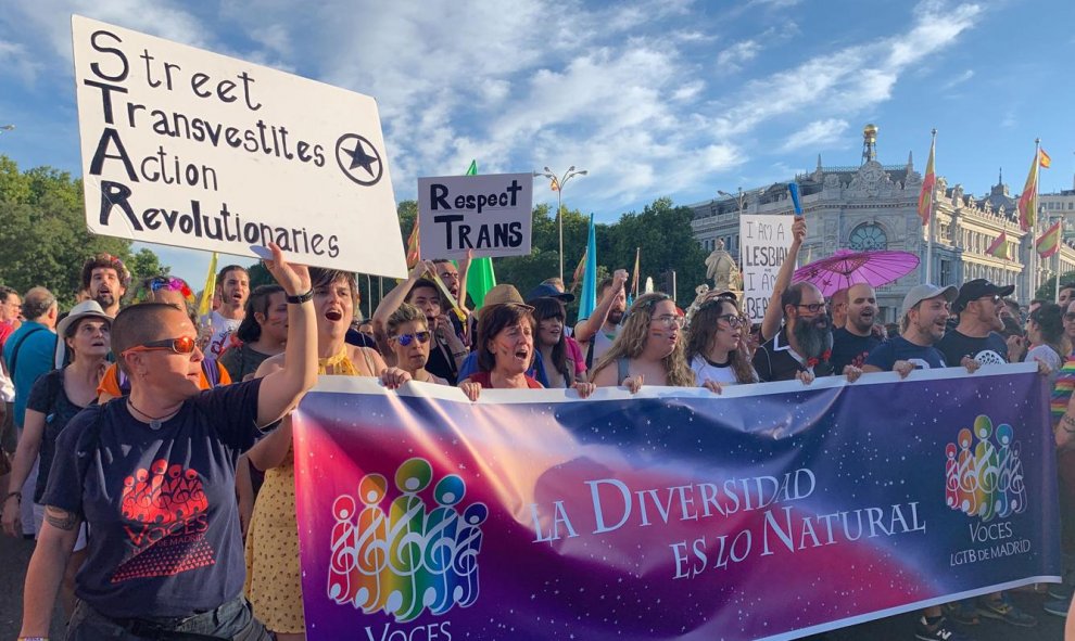 Pancarta de la asociación Voces LGTB de Madrid en el Orgullo 2019. /ESTEFANÍA ROSELLÓ