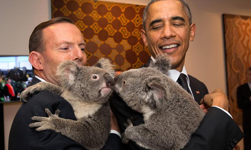 El primer ministro de Australia, Tony Abbott y el presidente de EEUU, Barack Obama, cada uno con un koala, antes de la Cumbre de Líderes del G-20 en Brisbane. // REUTERS