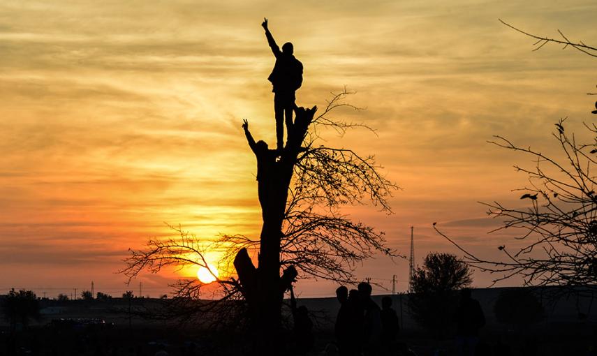 Varios kurdos hacen la señal de la victoria subidos a un árbol, durante una manifestación cerca de la frontera con Sitia. // ILYAS AKENGIN (AFP)
