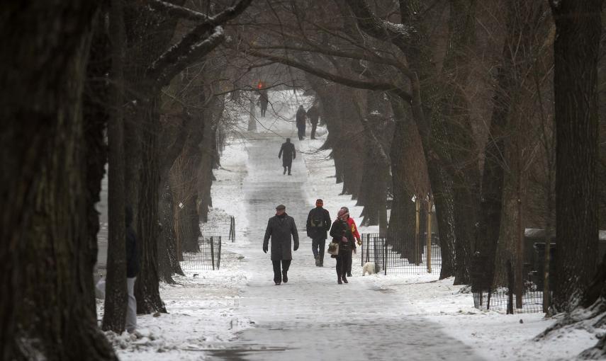 Vrias personas caminan por Central Park, en Nueva York. REUTERS/Carlo Allegri