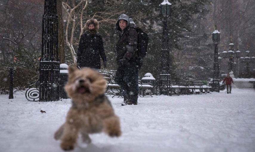 Una mujer observa a su mascota entre la nieve. REUTERS/Carlo Allegri