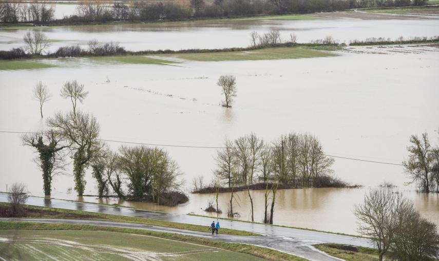 Los campos de alrededor del aeropuerto de Foronda (Euskadi) permanecen anegados las lluvias registradas en la región. EFE/ADRIAN RUIZ DE HIERRO