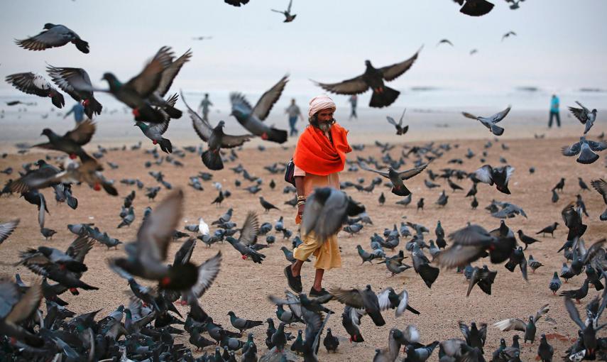 Un hindú pide limosna mientras camina entre los pájaros que vuelan en la playa, junto al mar Arábigo en Bombay. /DANISH SIDDIQUI (REUTERS)