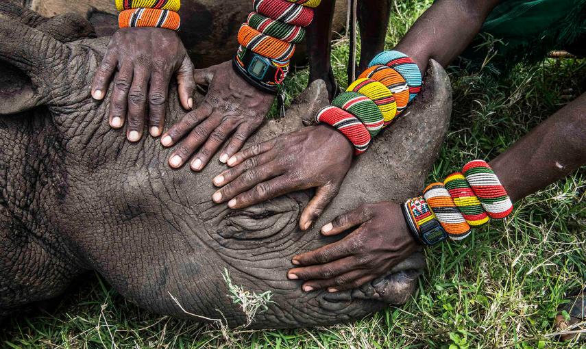 Un grupo de jóvenes guerreros Samburu ven un rinoceronte por primera vez en sus vidas. La mayoría de las personas en Kenia nunca tienen la oportunidad de ver la fauna que existe literalmente en su propio patio trasero. La fotografía ganó el segundo premio
