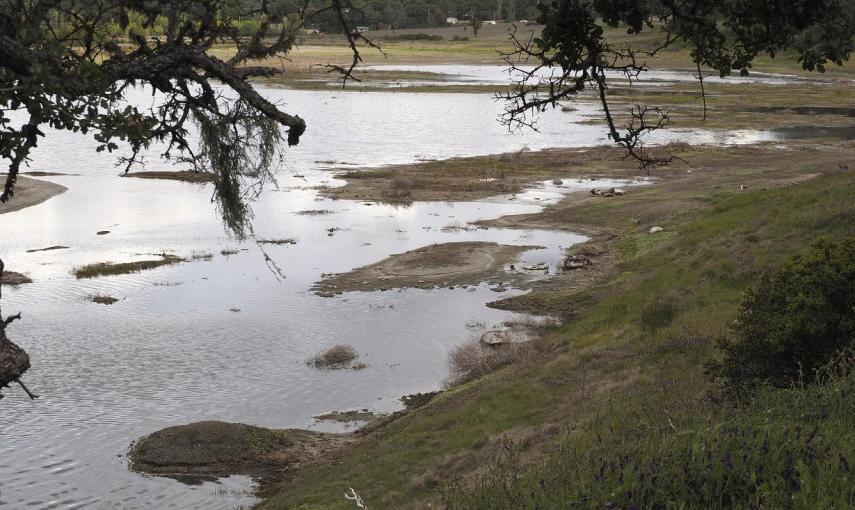 A pesar de la defensa del gobernador de california, Jerry Brown, a las medidas de control obligatorio de agua, críticos señalan que las restricciones deben enfocarse más en el sector agrícola que consume el 80 % del agua del estado y contribuye sólo con e