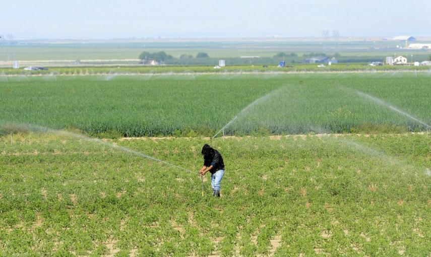 El gobernador de California, Jerry Brown, ordenó el primer racionamiento de agua el pasado primero de abril, en el cuarto año de una devastadora sequía que ha afectado los pozos, ha obligado al racionamiento y ha puesto en peligro los cultivos en una las