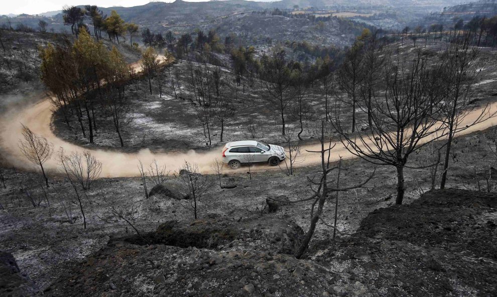 Un coche en un camino de tierra entre los últimos árboles que fueron quemados por el incendio forestal cerca de Montserrat en Sant Salvador de Guardiola, en Cataluña, España, 27 de julio 2015. REUTERS/Gustau Nacarino