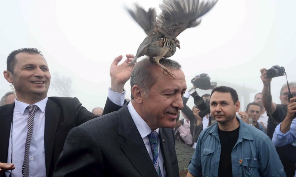 Un urogallo se posa sobre la cabeza del presidente turco, Tayyip Erdogan, cuando visita una instalación del Ministerio de Bosques y Gestión del Agua en Rize, Turquía.- REUTERS / Stringer