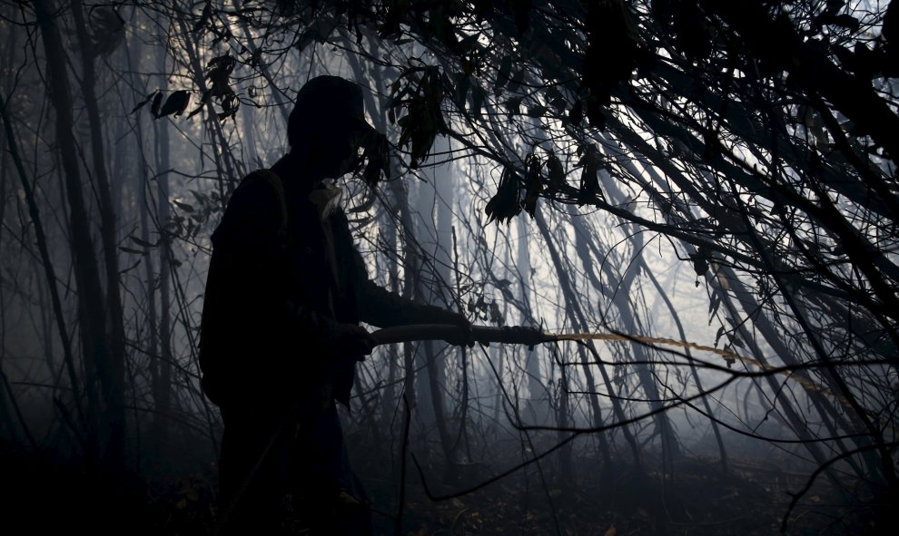 Algunos trabajadores rocían agua para extinguir el fuego en el interior de un bosque en la aldea Pulo Geronggang, al sur de Indonesia. REUTERS