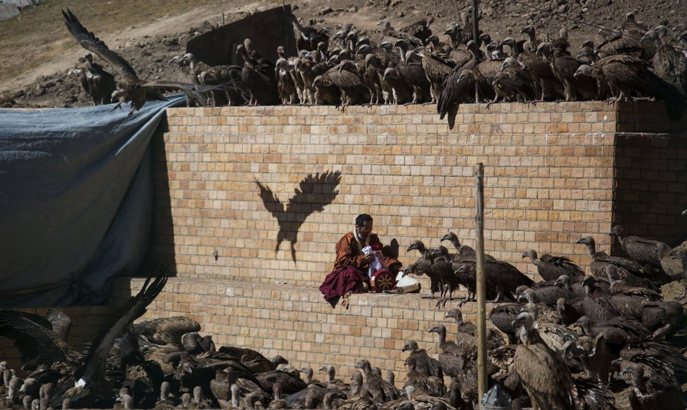 Un monje budista recoge sus pertenencias junto a una bandada de buitres cerca de un cadáver. /REUTERS