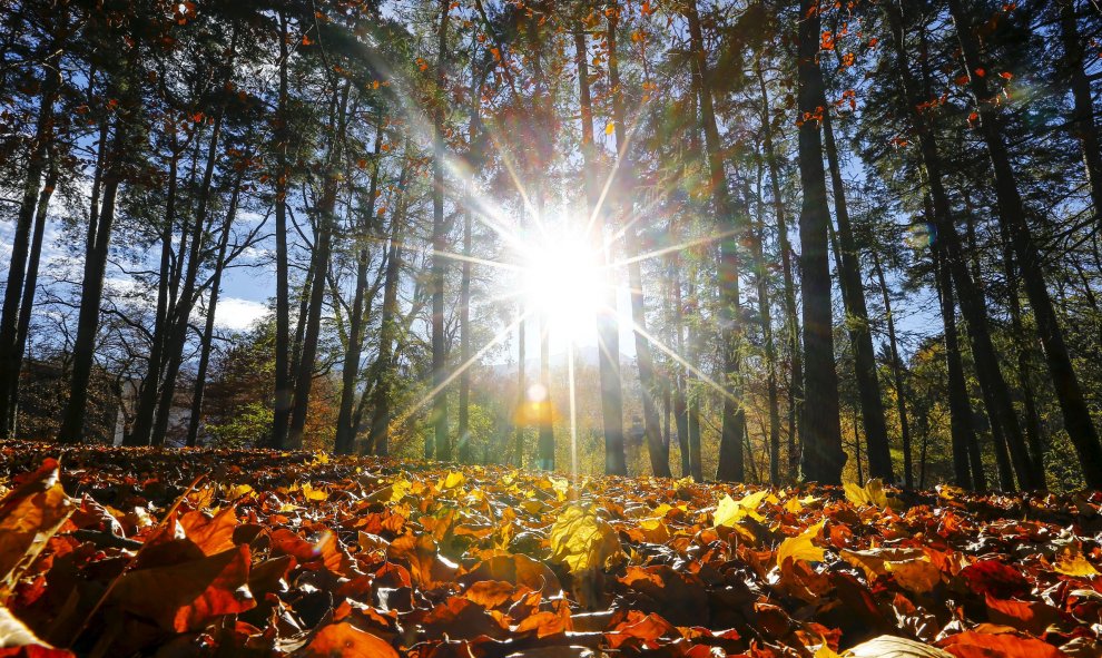 El otoño se apodera de la ciudad austriaca de Innsbruck. REUTERS/Dominic Ebenbichler