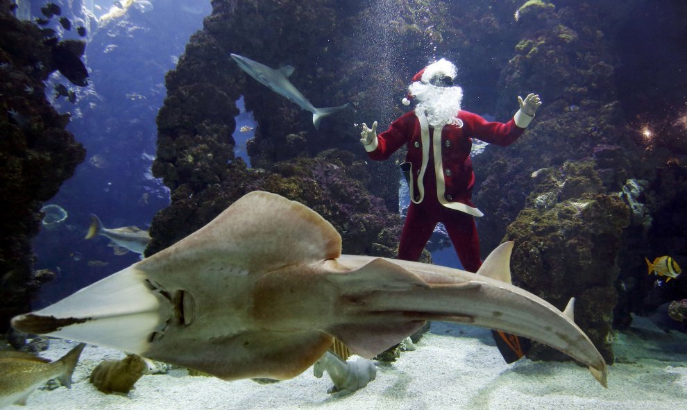 El francés Pierre Frolla, campeón del mundo de apnea, vestido de Papá Noel, en un acuario del Museo Oceánico de Mónaco. REUTERS/Eric Gaillard