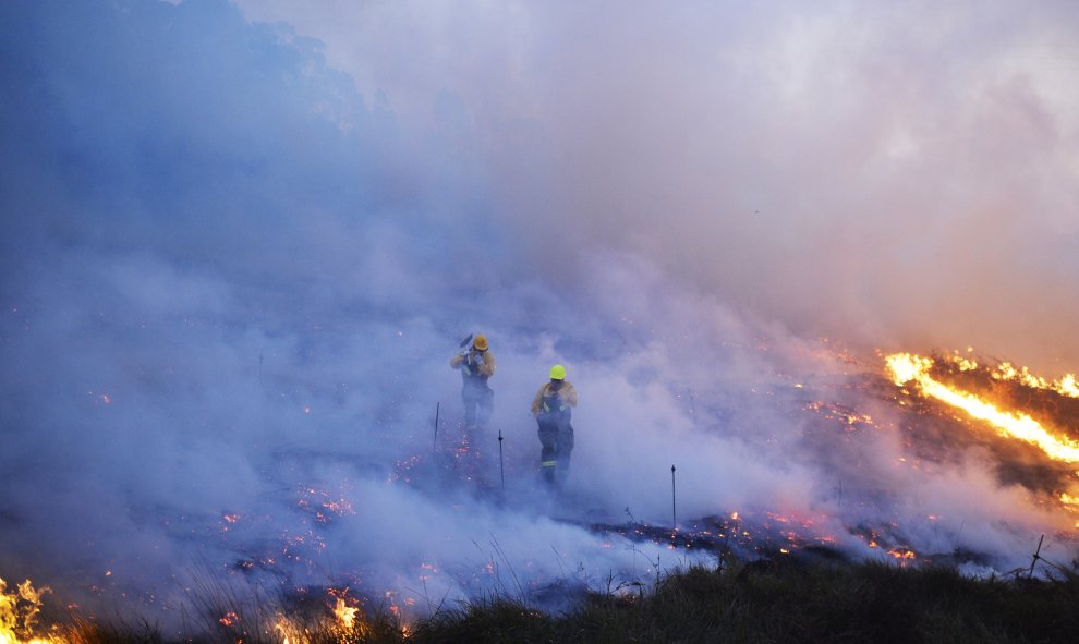 Los bomberos atraviesan el humo mientras luchan por apagar el incendio forestal cerca de la ciudad vasca Berango, cerca de Bilbao. 28 de diciembre de 2015. REUTERS / Vicente West