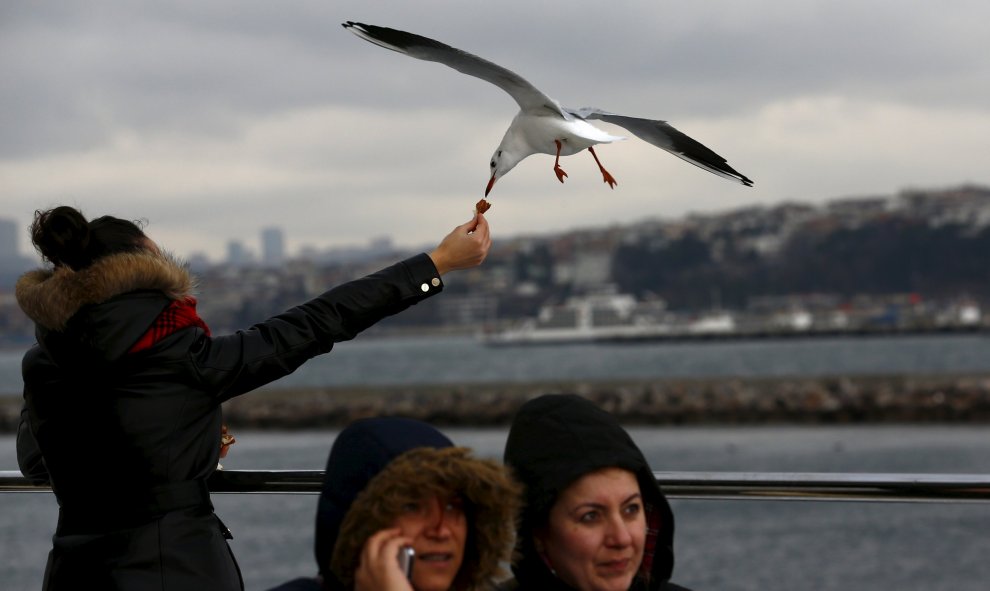 Una mujer da de comer a una gaviota desde un ferry en Estambúl, Turquía. /REUTERS/Murad Sezer