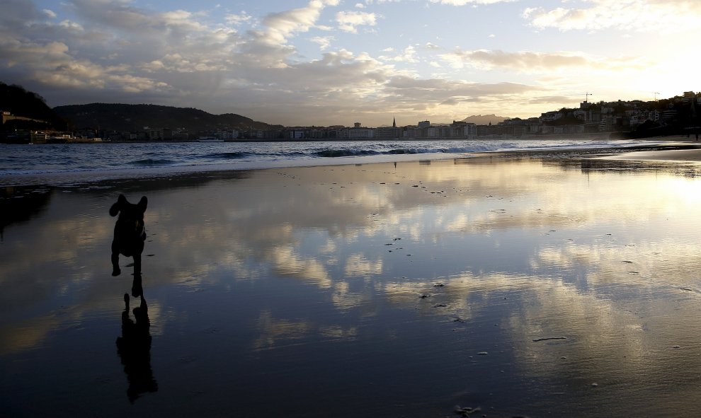 Un perro juega al amanecer en la playa de Ondarreta de San Sebastián. EFE/Javier Etxezarreta