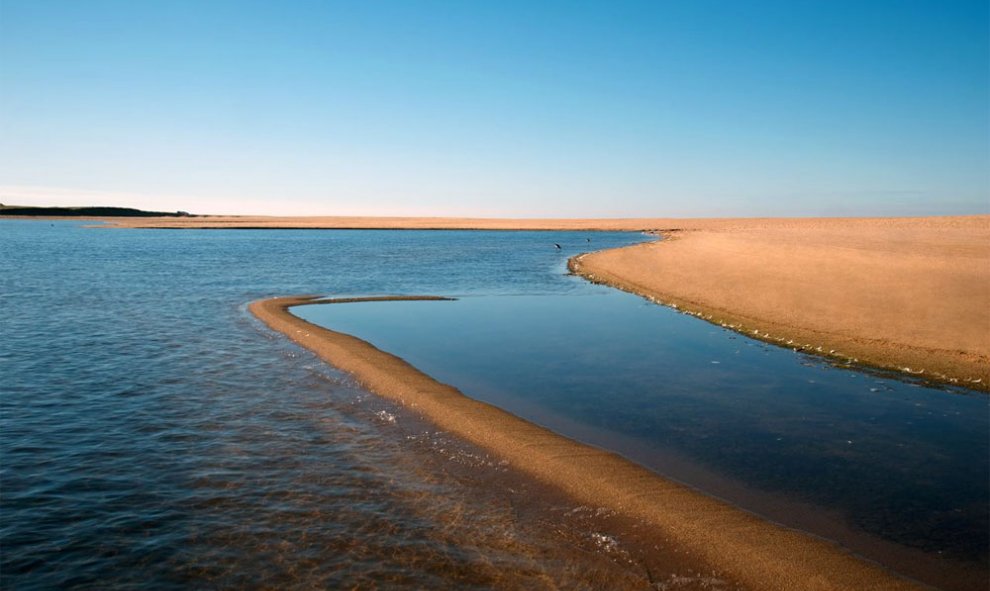 Laguna Rocha, en Uruguay. CHARLIE WAITE (Ramsar)