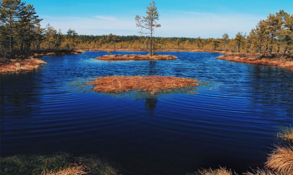 Estonia. LIISA UIBO (Ramsar)