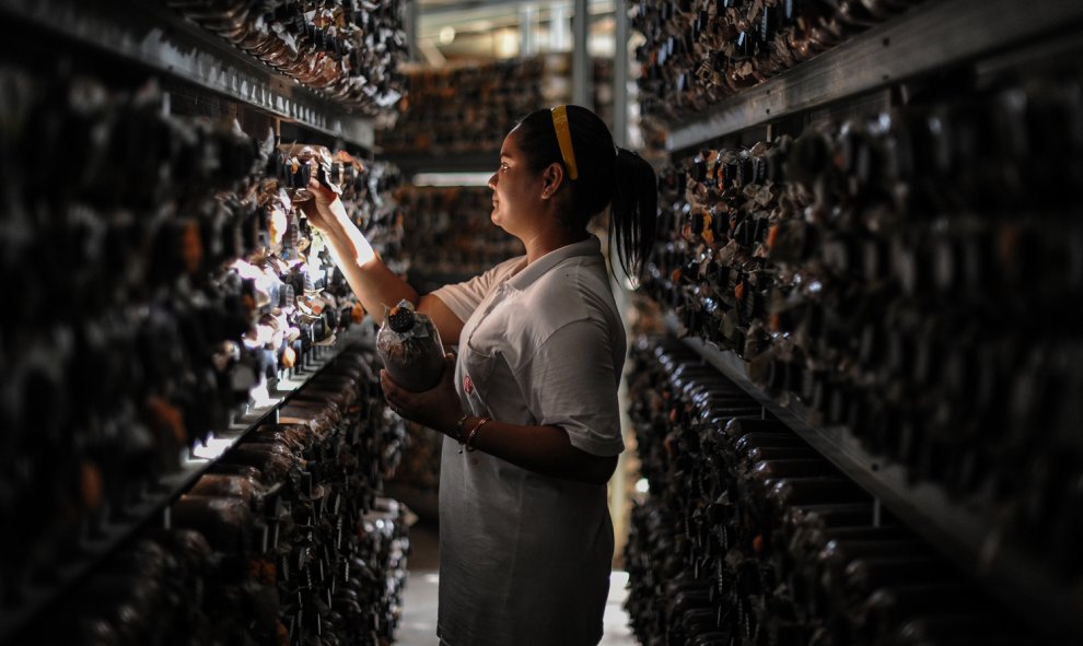 Una trabajadora inspecciona botellas en una granja de setas en Karak, en en los suburbios de Pahang a las afueras de Kuala Lumpur, el 4 de febrero de 2016. AFP/MOHD RASFAN