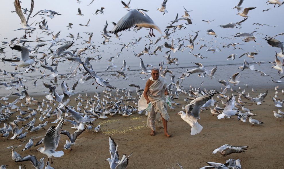 Un hombre alimenta a varias gaviotas en una playa del Mar Arábigo en Bombay. REUTERS/Danish Siddiqui