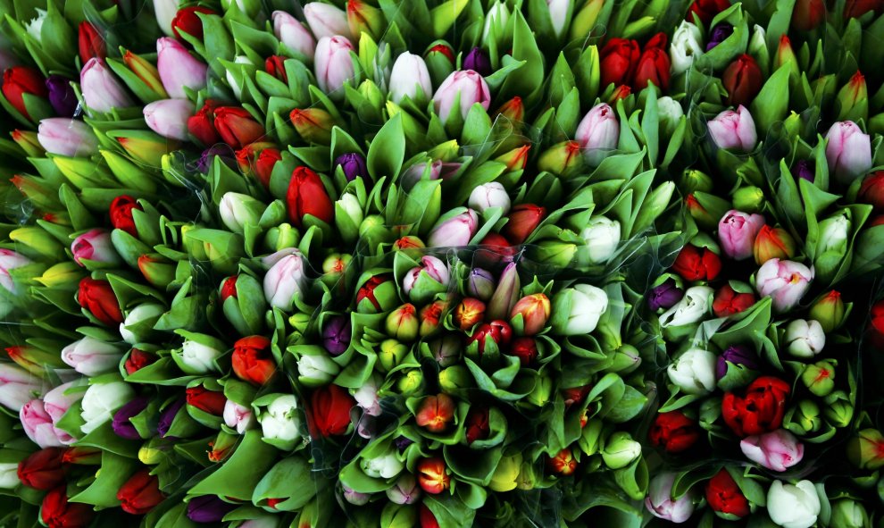 Flores puestas a la venta antes del Día de San Valentín en un mercado en Viena. REUTERS/Leonhard Foeger