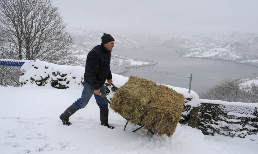 Un hombre transporta comida para el ganado en el municipio orensano de Chandrexa de Queixa, la nieve condiciona la circulación en la alta montaña en Galicia. EFE/Brais Lorenzo