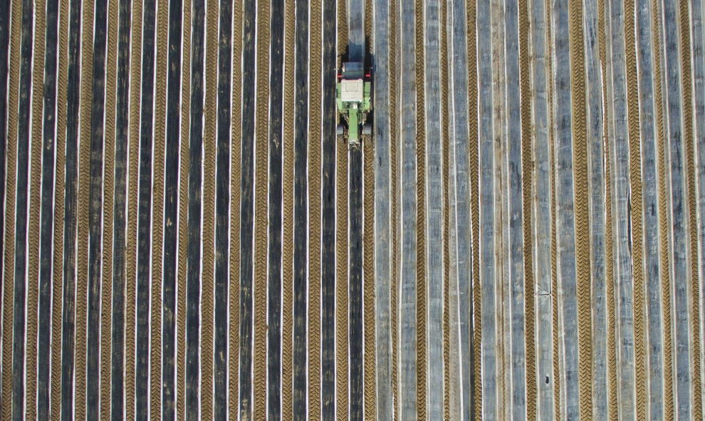 Un agricultor trabaja la tierra para cultivar espárragos en Vollbuettel, Alemania. EFE/Julian Stratenschulte
