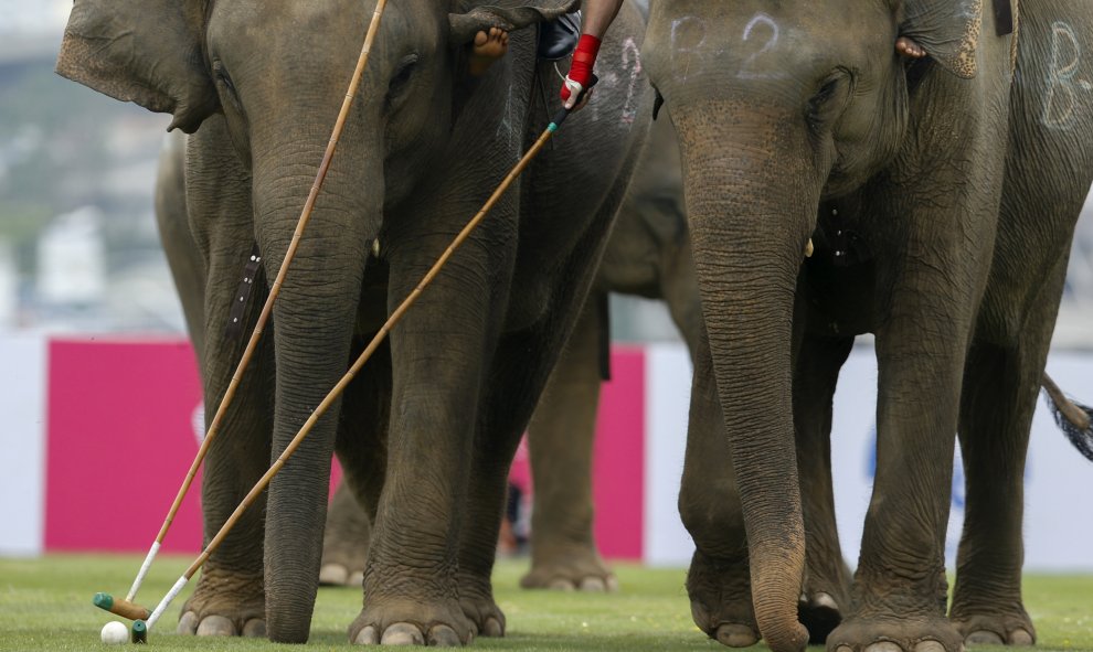 Los jugadores participan en un partido de exhibición durante el torneo anual de caridad, la Copa del Rey de Polo en Elefante en Riverside, Bangkok, Tailandia. REUTERS / Jorge Silva