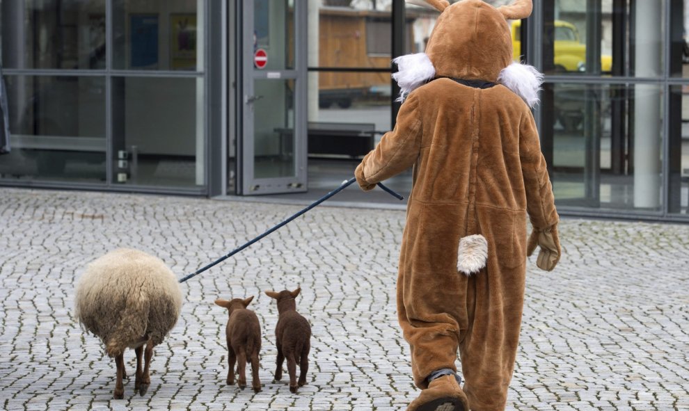 Un hombre disfrazado de conejo de Pascua pasea a una oveja y dos corderos antes de la presentación de la exposición 'Dresdner Ostern'. EFE/Sebastian Kahnert