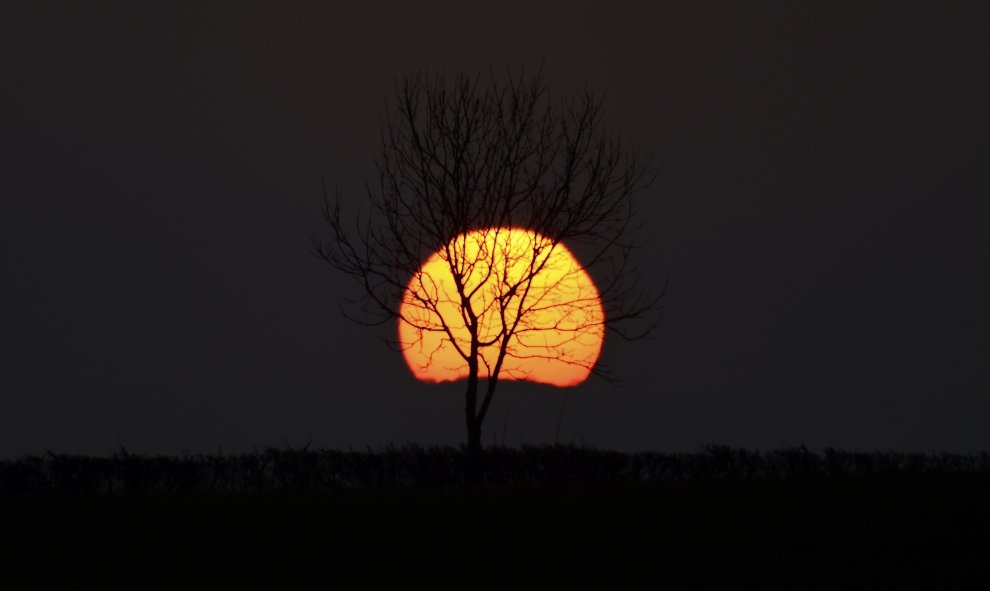 El sol se pone detrás de un árbol en una granja cerca de Cheltenham, Inglaterra. REUTERS / Dylan Martínez