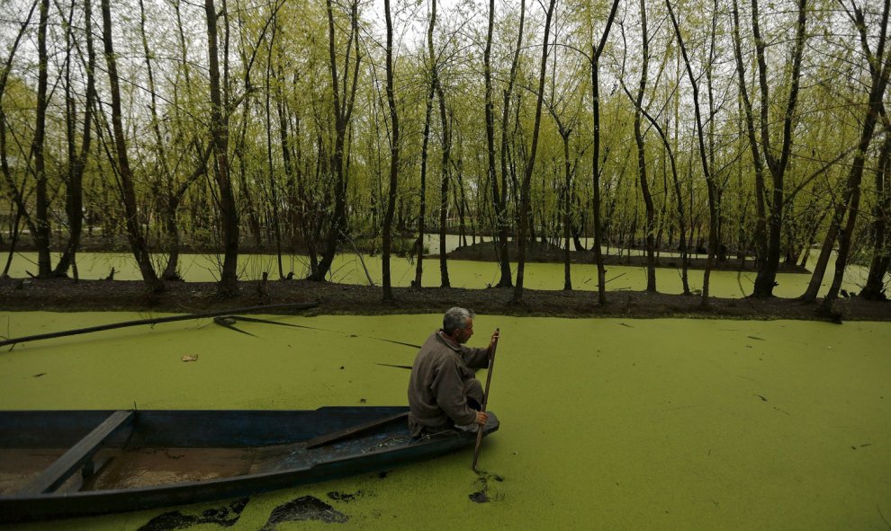 Un hombre navega en el lago en Srinagar, en India. REUTERS/Danish Ismail