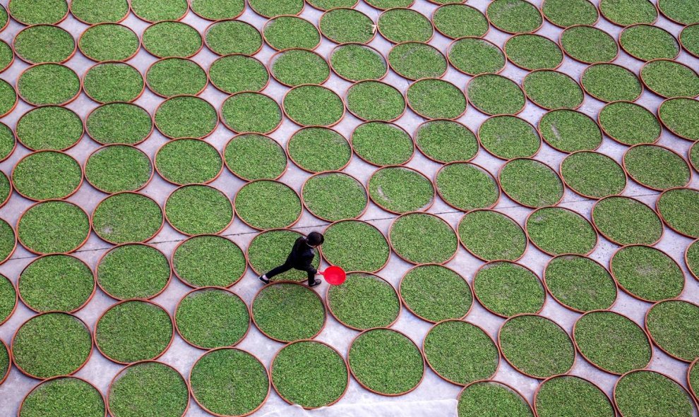 Una mujer camina en un terreno donde se secan las hojas de té en Dening, China. REUTERS/Stringer