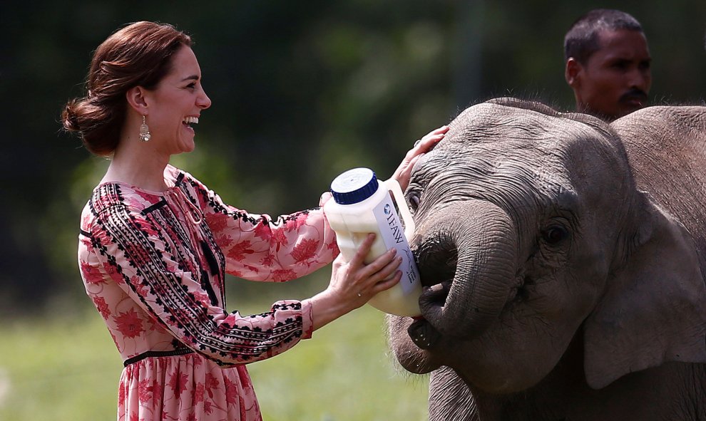 La duquesa de Cambridge, Catherine, da de comer a un bebé elefante en el Centre for Wildlife Rehabilitation and Conservation (CWRC) situado en la reserva Panbari, Kaziranga, India. REUTERS/Adnan