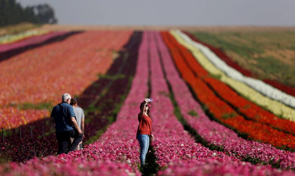 Una mujer israelí hace un 'selfie' en un campo cerca de Kibbutz Nir Itzjak, en el sur de Israel, a las afueras de la Franja de Gaza. REUTERS/Amir Cohen