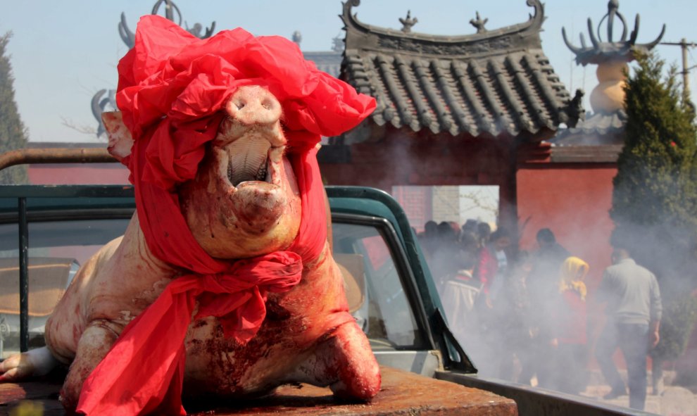 Un cerdo es sacrificado y expuesto en el exterior de un templo durante una celebración tradicional de los pescadores de Rongcheng en la provincia de Shandong, China. REUTERS/Stringe